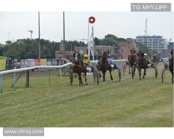 sul比赛-激烈竞技,聚焦Sul比赛-sul比赛 sul比赛-激烈竞技,聚焦Sul比赛-sul比赛